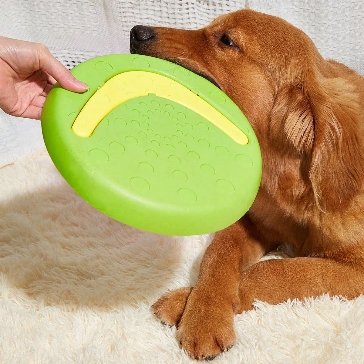 

Фрисби и Фрисби, игрушка для собаки, специальная Фрисби