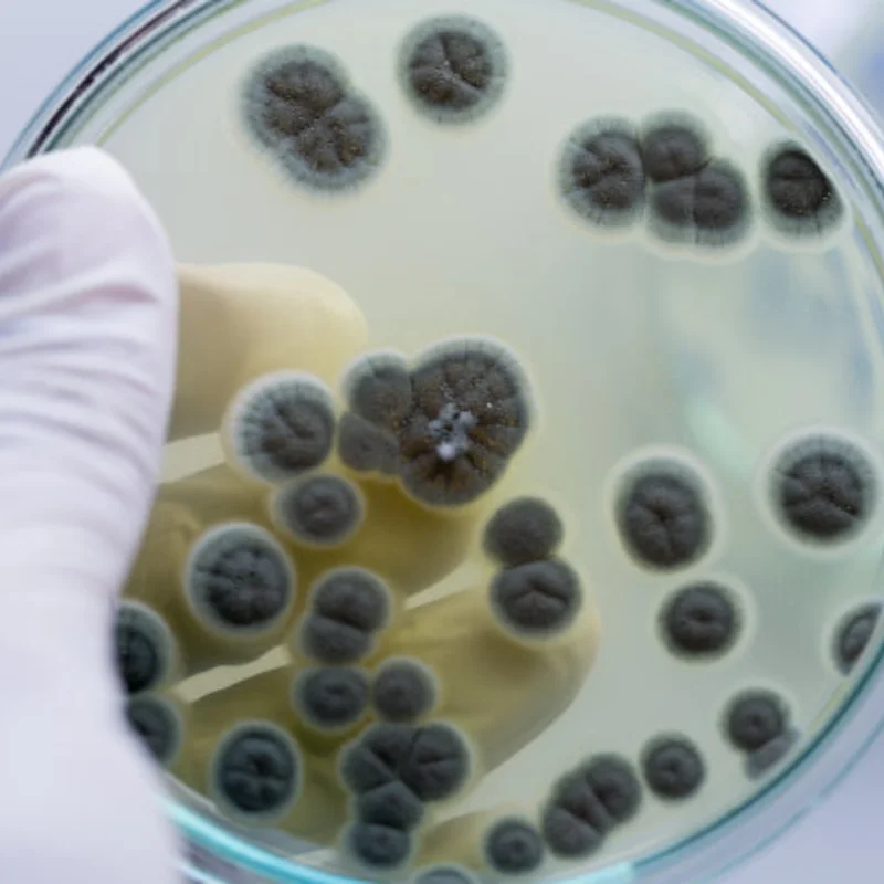 ยางรถแข่ง 4 ชิ้น พร้อมล้อแม็กซ์โลหะ 4 ชิ้น สำหรับรถ RC 1/10 แบบ On-Road รุ่น HSP 94123/94103/94122 D4/D3 FW06 WL144001 MJX16207