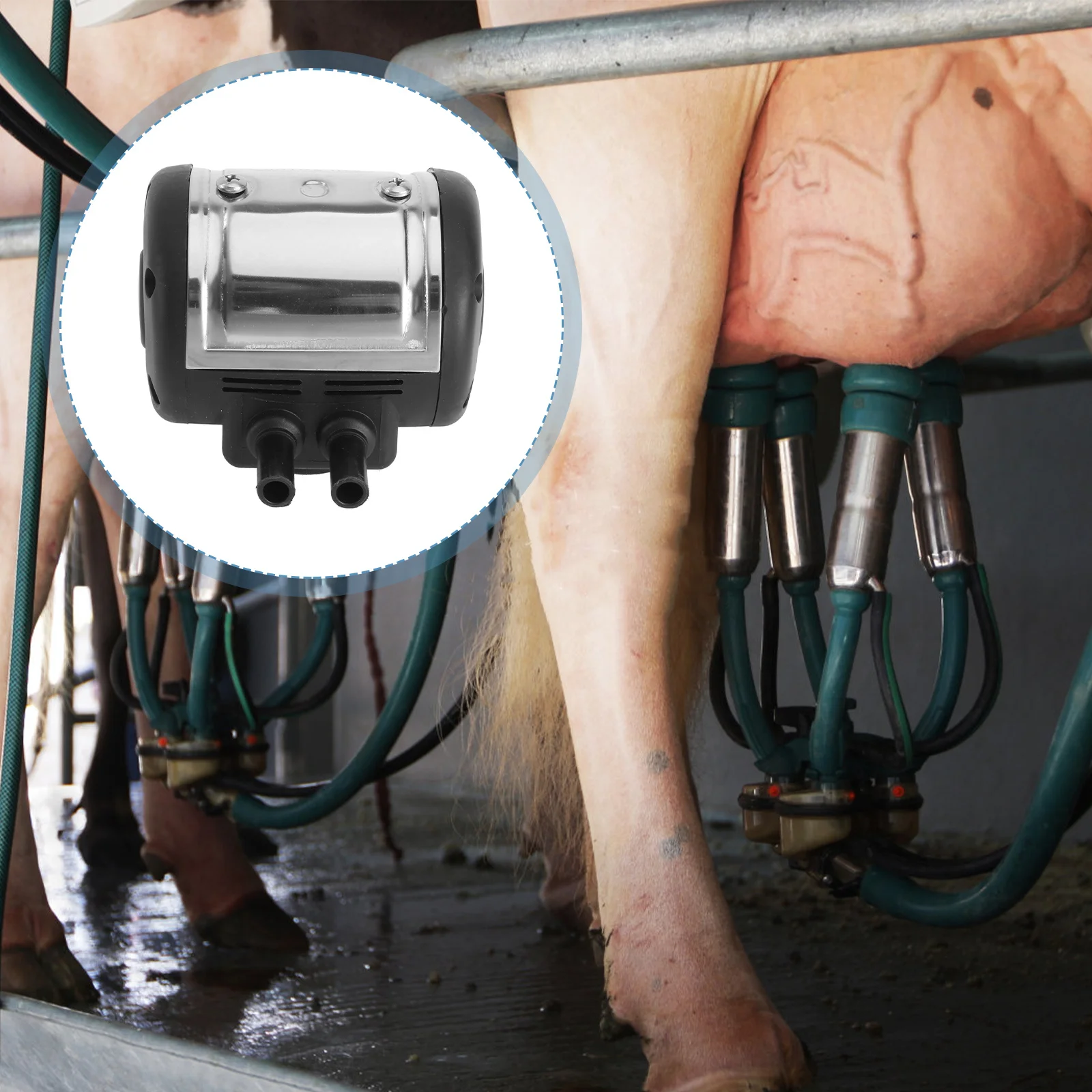 

Pneumatic Pulsator For Machine Adjustable 50 To 180 Ppm 60/40 Pulsation Rate Stainless Steel Cow Milking Equipment Milking