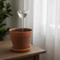 Bird S