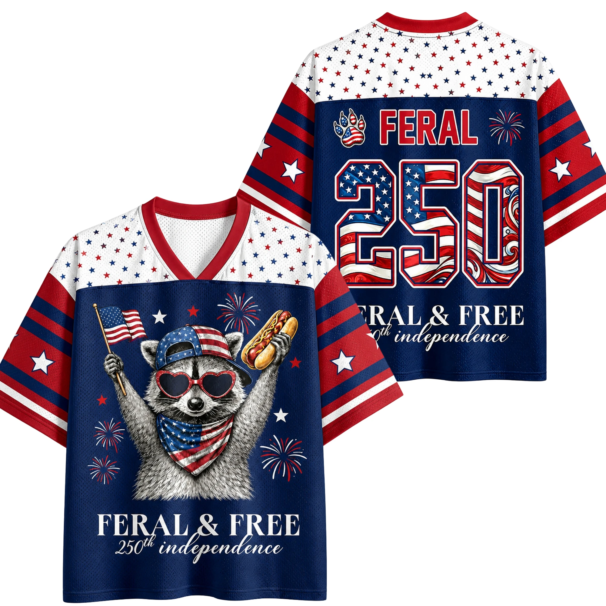 Celebrating The 250th Anniversary of American Independence in The Summer of 2026, Raccoon 3D Printed Casual V-neck T-shirt