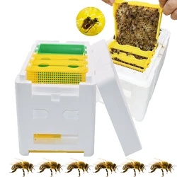 Mini Hive Box Queen Mating Nuc Swarm Nucleus Hive Beehive Rearing Portable Harvest Pollination Breeding Colony Fecundation