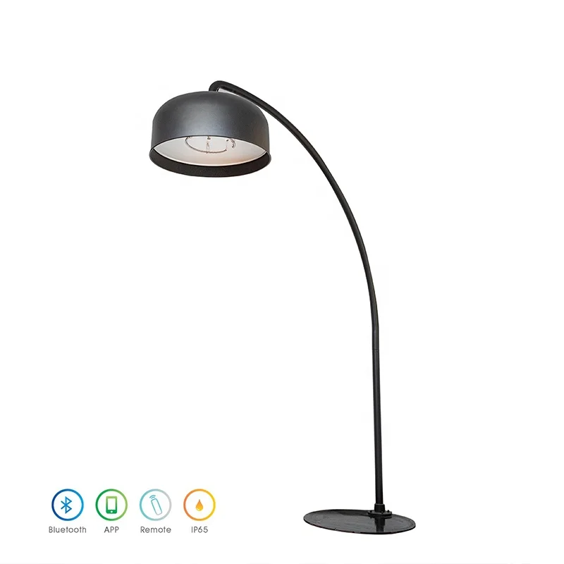 2500 Watt Remote Controlled for Freestanding Outdoor Infrared Electric Heater Metal with Carbon Fiber Heating Element