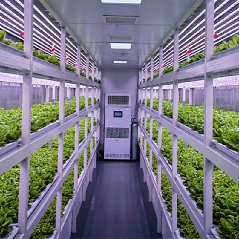 Forniture agricole per irrigazione idroponica acquaponica automatica per giardino domestico Sistema idroponico verticale completo per la coltivazione di verdure