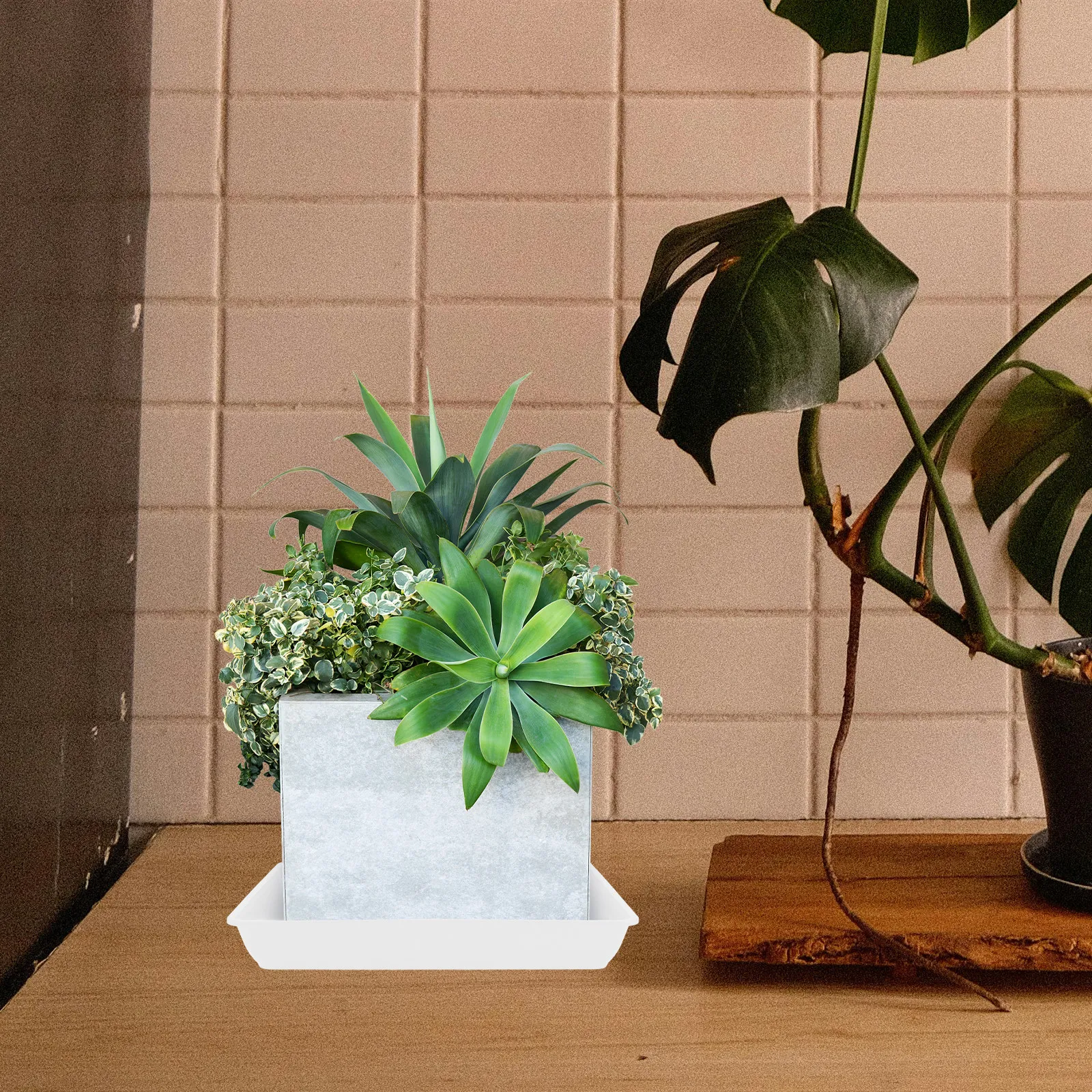 6Pcs Square Plastic Plant Saucers Planter Trays for Potted Plants Water Absorber Drip Pan Humidity Tray Indoor Garden Use