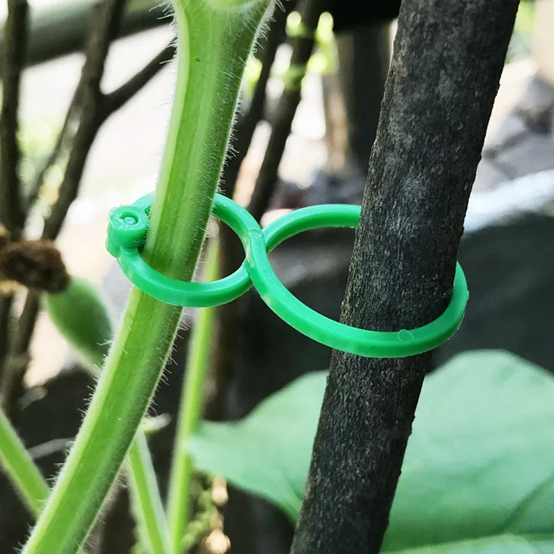 50/100 Garden Vine Strapping Clips Plant Bundled Buckle Ring Holder Tomato Garden Plant Stand Tool Garden Decoration Accessories