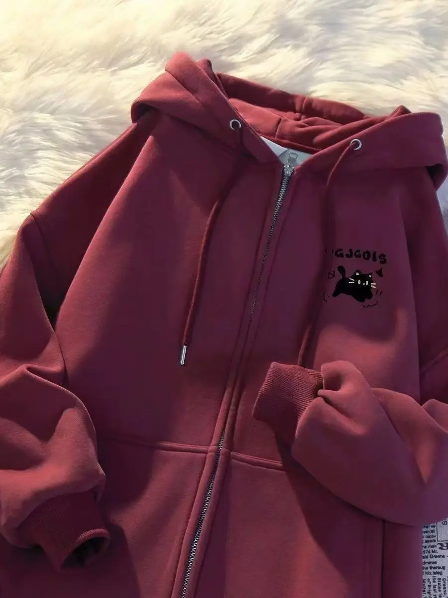 2025 nouveau coréen Sle sweat à capuche automne hiver Fce ample décontracté polyvalent américain Sle vêtements d'extérieur à la mode