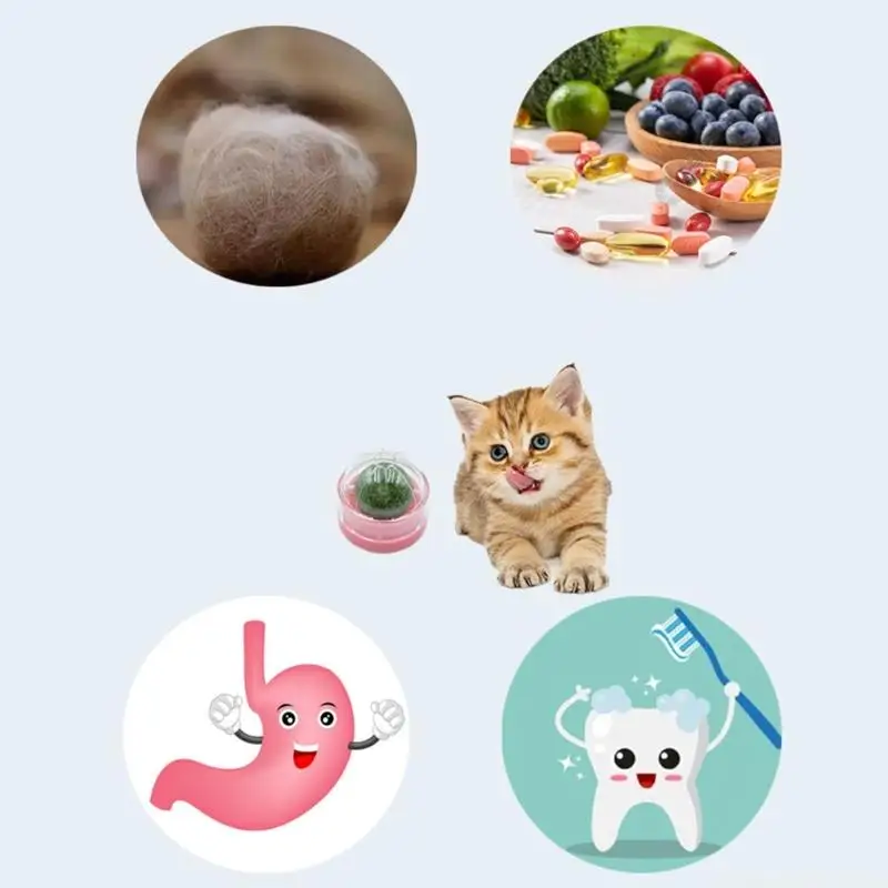 QX2E 3pcs Cats Catmint Balls Teaser Toy For Teeth Cleaning And Chewing Fun Cats Mint Toy For Indoor Cats Entertainment