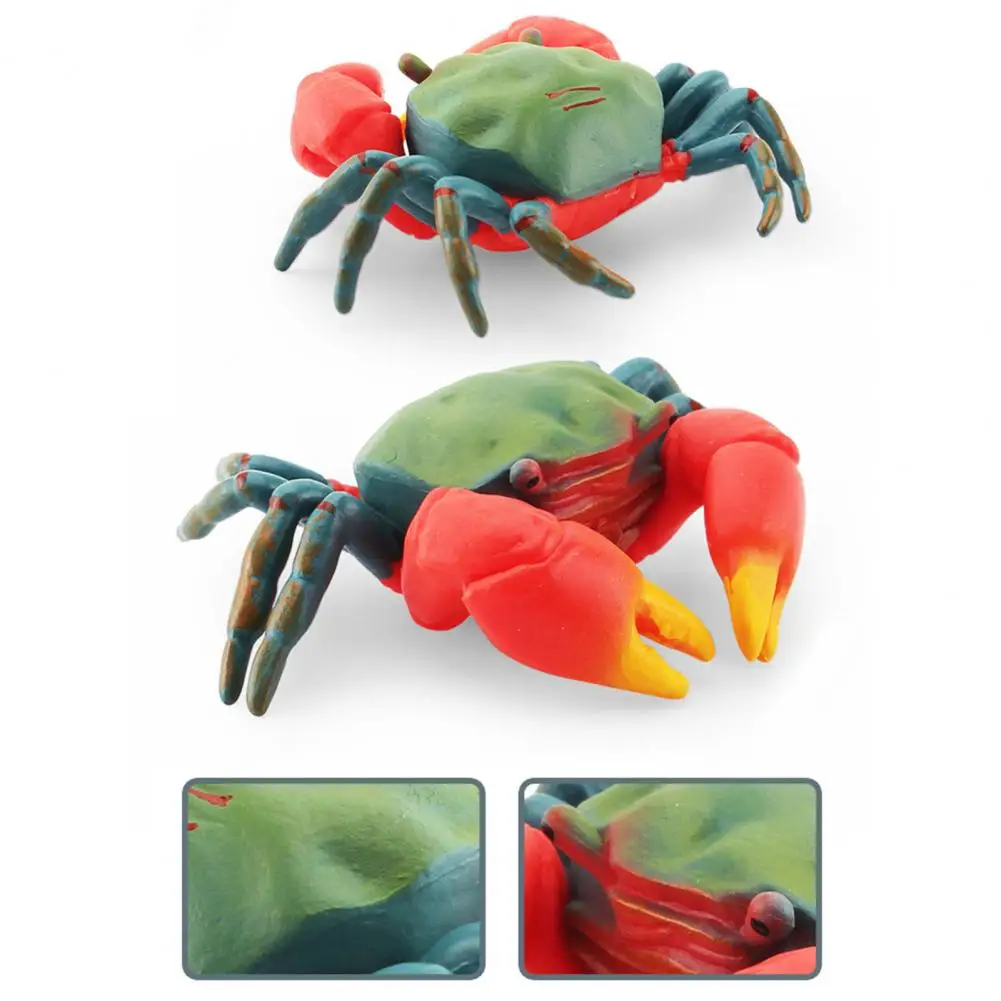 Realistic  Eco-friendly Animal Figurine Mini TV Table Ornament Vivid Look Sea Animal Model Miniature   Model Gift