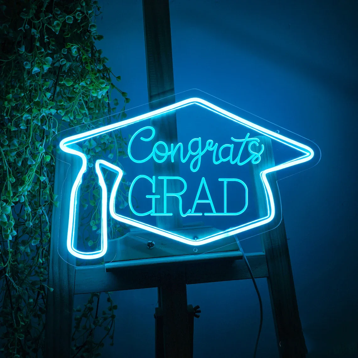 

Congrats Grad Neon Sign 3D Engrave USB Neon Signs Graduation Backdrop Art Wall Decor Custom Graduation Gifts