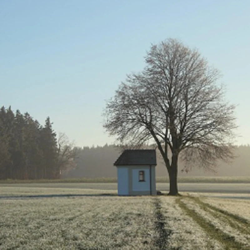 

Полетный контроллер T-HOBBY T-MOTOR Velox F7 SE с беспроводным Bluetooth, двойным BEC, черным ящиком 128 МБ, поддержкой HD/аналогового видеовыхода, 12-27В (3-6S)