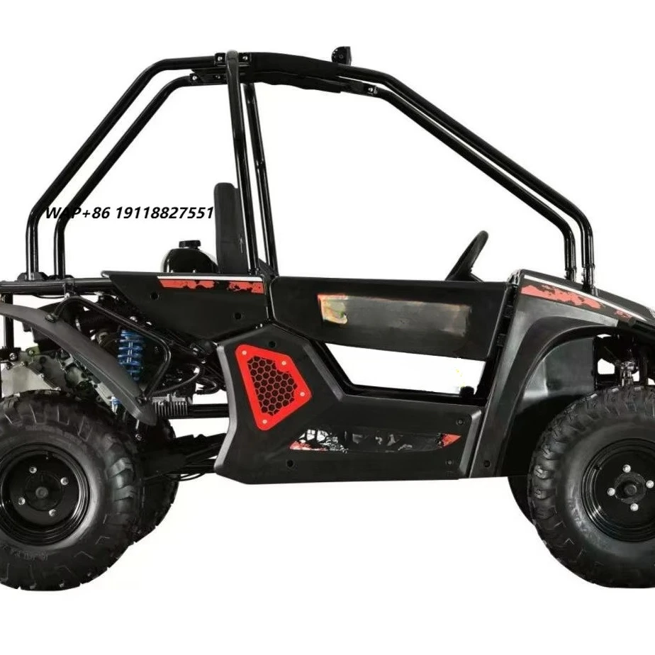 TONGCAI Factory Direct Cheap Sale Transmission Buggy Car Side by Side 2 Seater Automatic CVT with Power Steering 200cc 2WD ATV