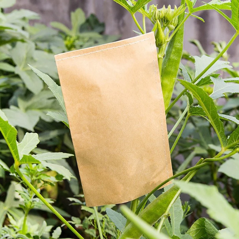 100Pcs Mini Envelopes Packets Garden Home Kraft Paper Seed Protective Envelope Storage Bags