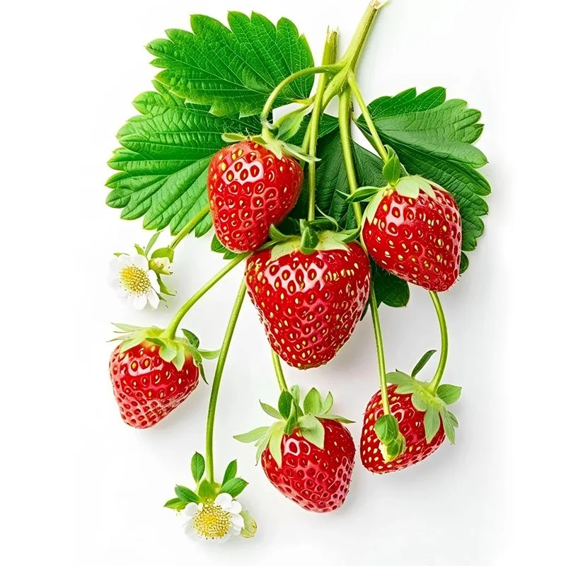 

Sweet Strawberry Restaurant Door Sticker Entrance Door Decoration Self-adhesive Waterproof Glass Sticker home Decor