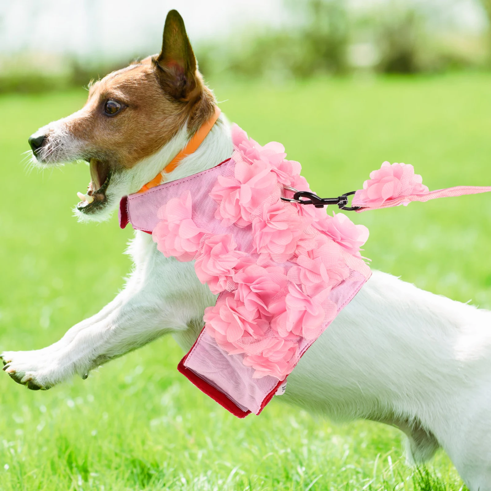 

Innovative Material Traction Rope Dog Traction Rope Adjustable Sliding Straps Small Medium Dogs Flowers Design Pet Supplies