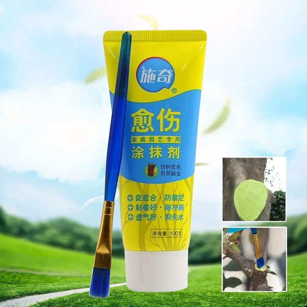 With Brush Bonsai Cut Tree Wound Smear Agent Pruning Compound Sealer Plant Restoring Regrowth Sealant Tree Wound Cut Paste
