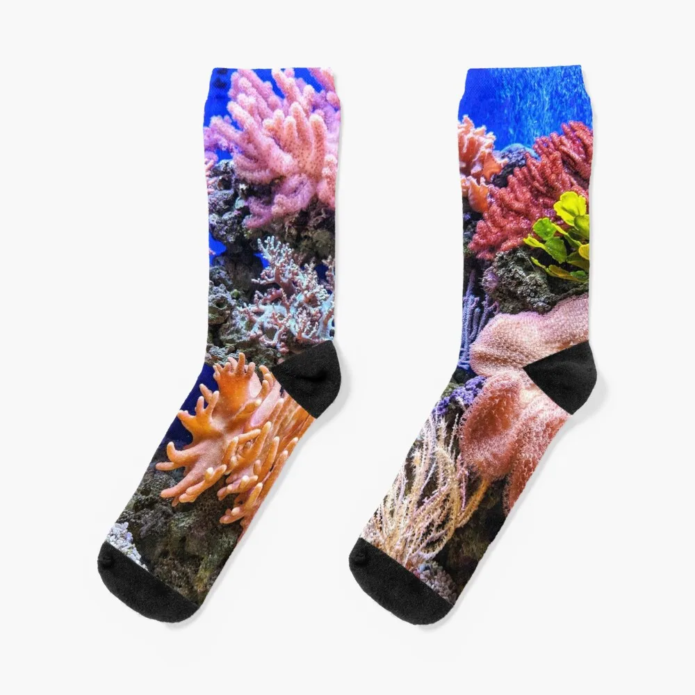 Diving at the Great Barrier Reef Socks sports stockings warm winter Socks Women's Men's