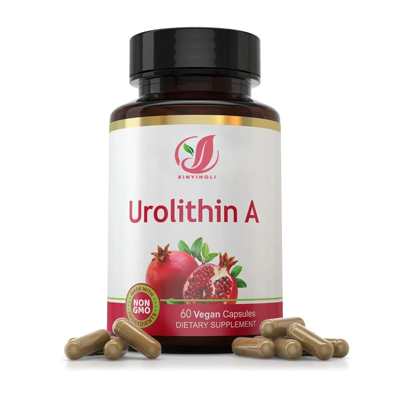 

Urolithin A extract supplement capsules (60 capsules), 500 milligrams per capsule, 1000 milligrams per serving.