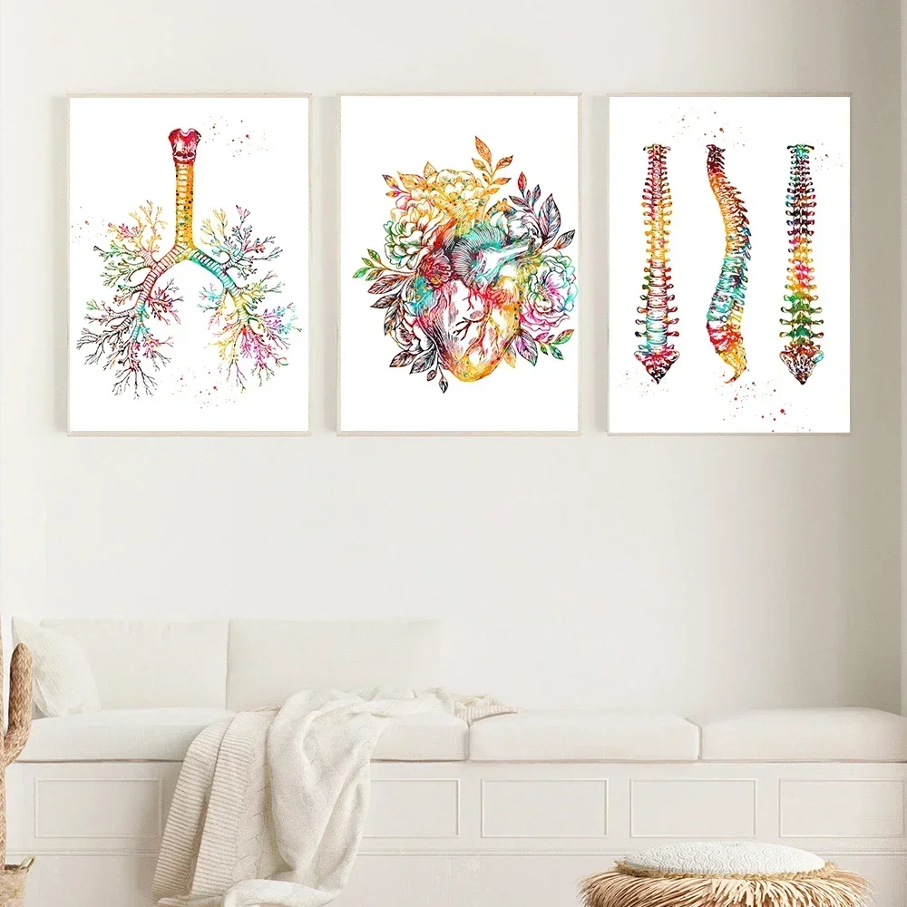 Modern Anatomy Wall Art Human Body Muscle System Hd Canvas Paintings Posters Prints Medical Education Home Bedroom Decoration