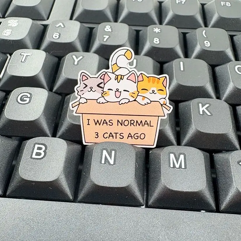 

I Was Normal Three Cats Ago Enamel Brooch Cute Cat Lover Owner Gift Lapel Pin Kawaii Domestic Shorthair Kitty Accessories Collec