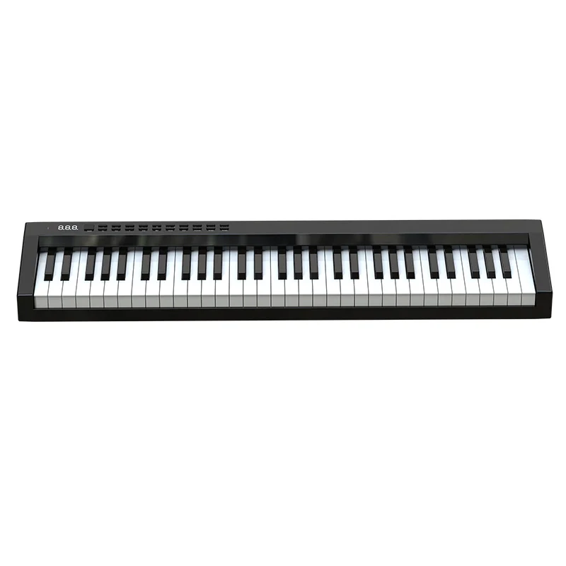 

Guangdong Electronic Organ 88 Key Electric Piano Midi Musical Instruments Home Studio Midi Usb Piano