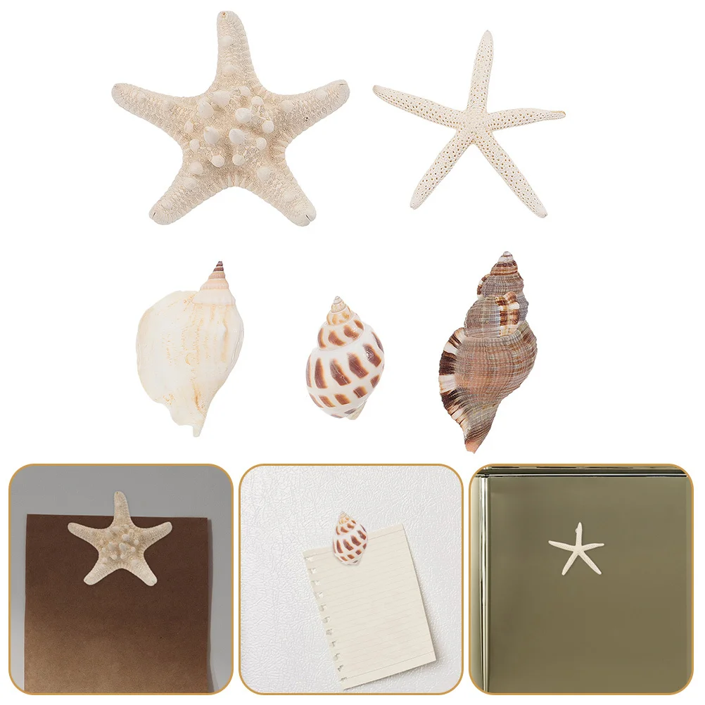 

5Pcs Conch Shell Refrigerator Magnets Decorative Fridge Stickers Magnetic Photo Holders for Home Kitchen Decor