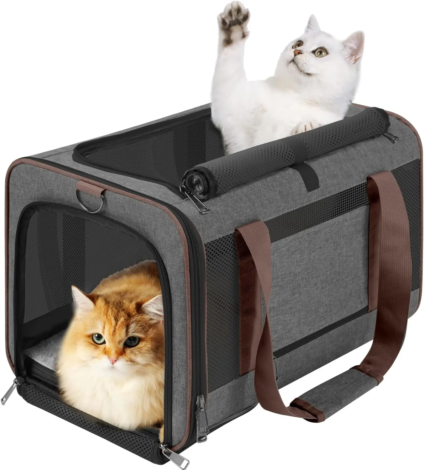 Small dog transport cage/soft shell big cat transport Maine Coon/pet taxi carrying bag over 25 pounds/top loader travel dog