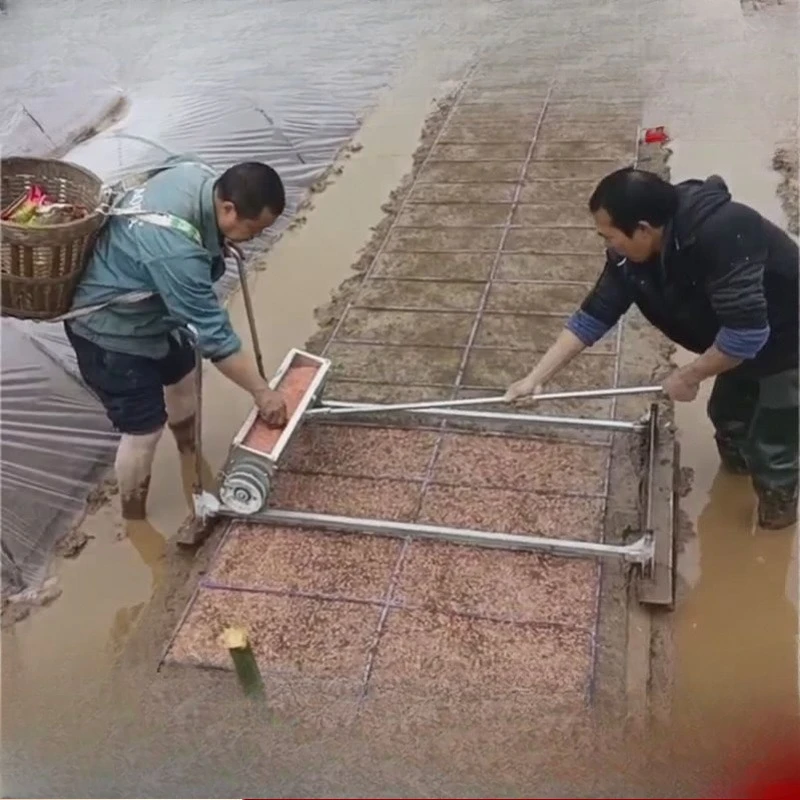 Rice planter, rice transplanter, seedling raising device, soil covering device, seedling raising machine