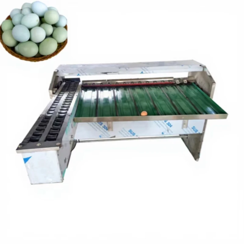 Customized Adjustable Speed Egg Grading Machine Variable Frequency Control Egg Sorter Suitable For Egg Processing Plant