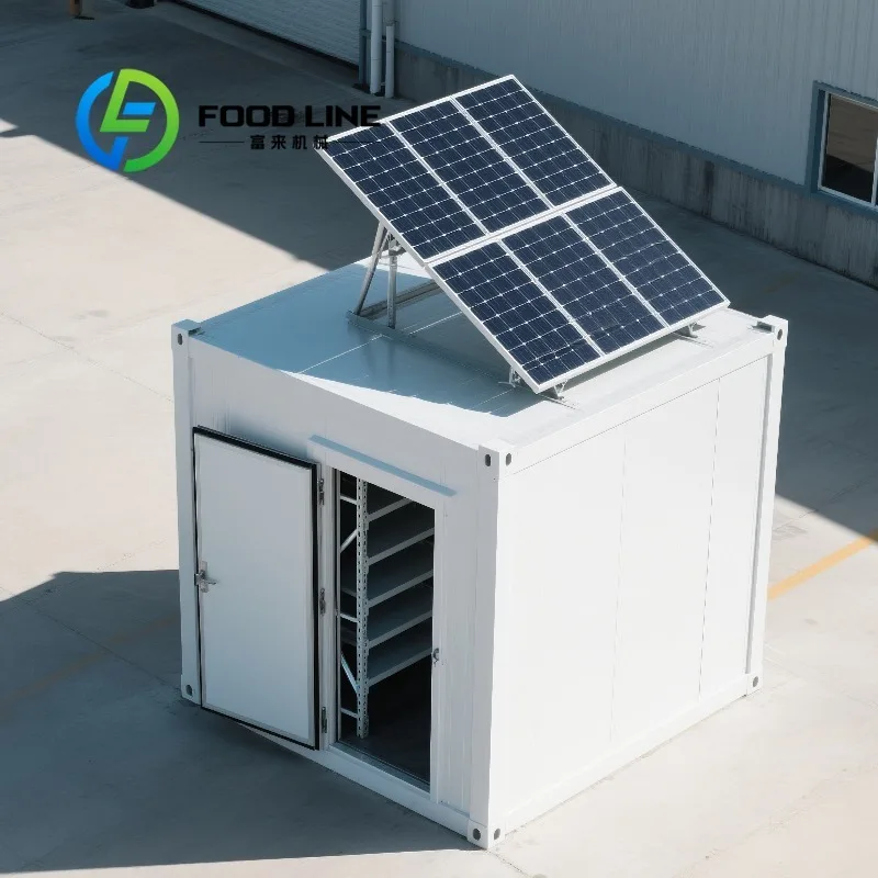Solar Powered Fixed Walk In Freezer Room Renewable Energy Cold Storage For Fresh Seafood And Agricultural Products