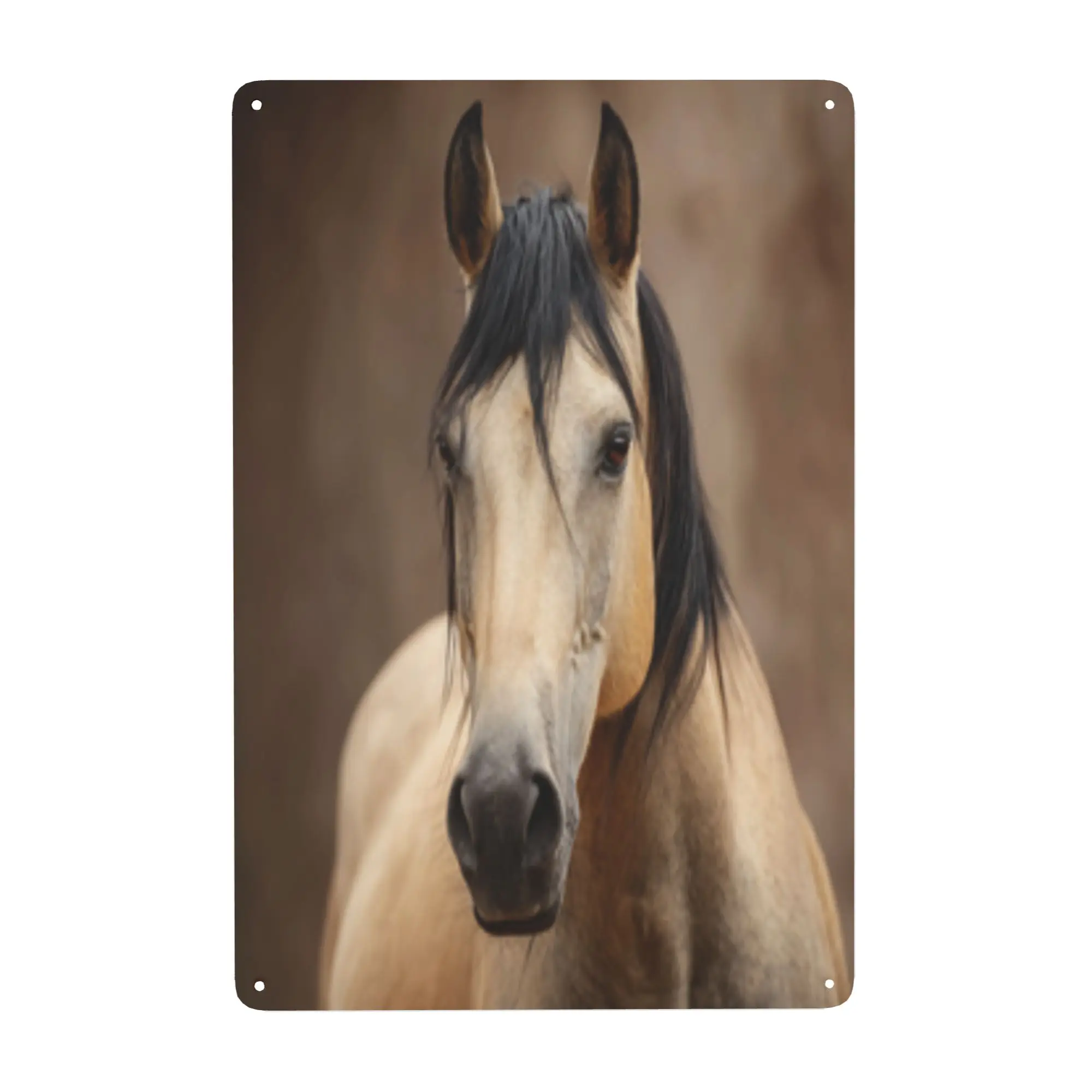 Decorative tin wall hanging, 8x12in