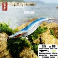 08 19GRAM SHALLOW