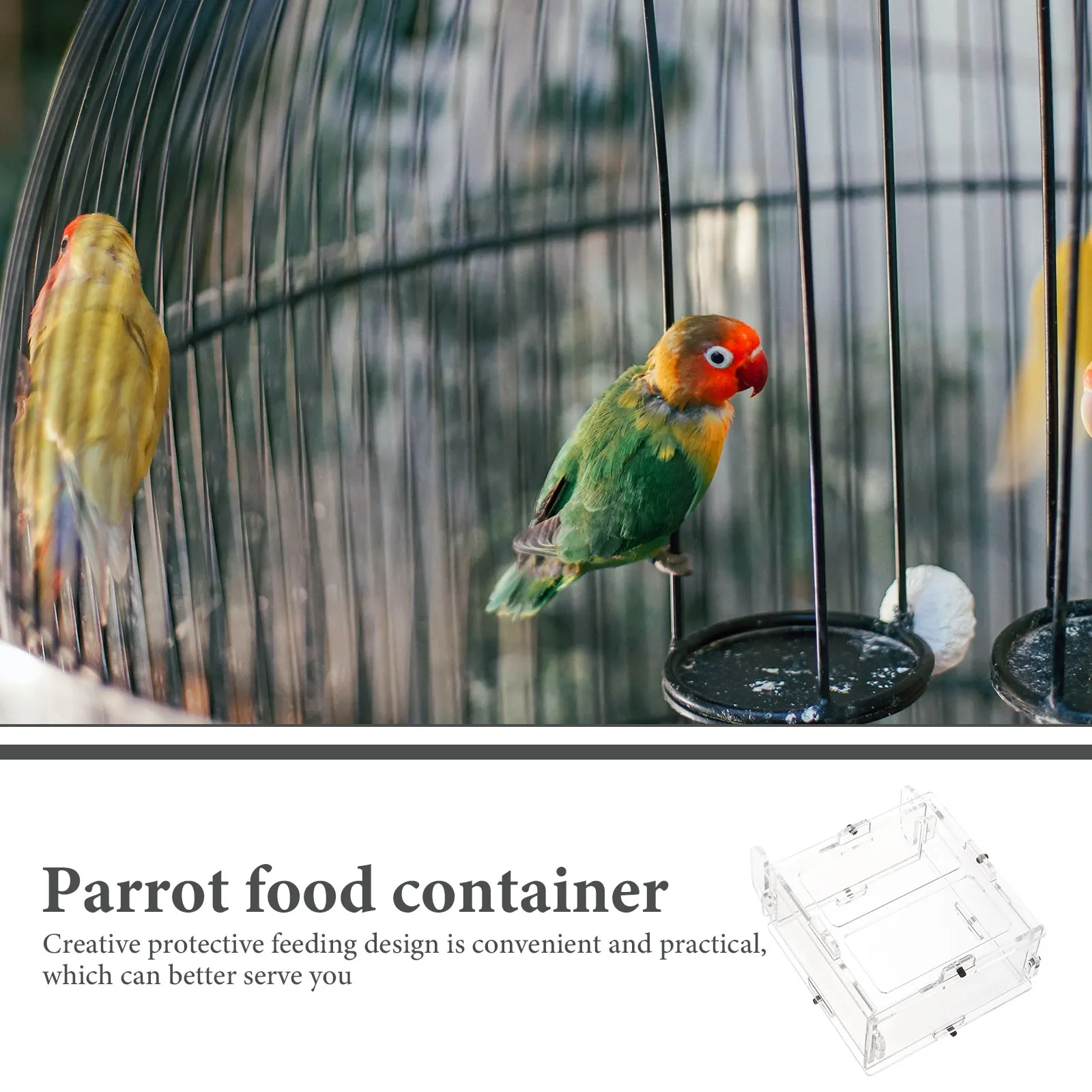 

Hanging Acrylic Durable Large Capacity Smooth Surface Easy Assembly Protective Design For Outdoor Parrot Feeder Pet Bird Food