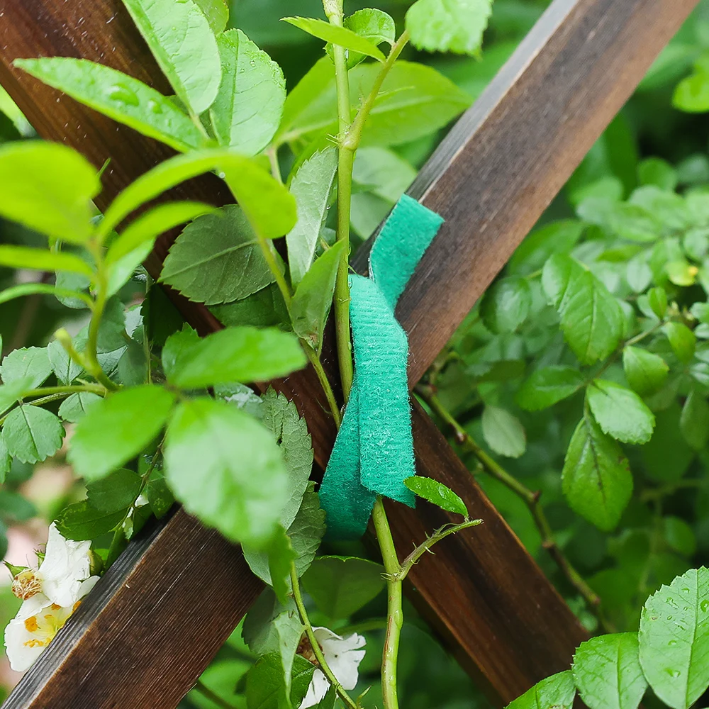 Attaches de plantes en nylon auto-adhésives réglables, crochet de plantes, support de boucle, bandage de ficelle de jardin, attache de câble vert réutilisable, bande de ruban