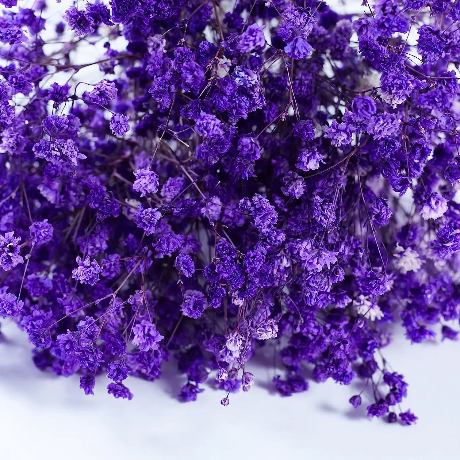 Purple Baby's Breath Dried Flowers, Home Decor, Photo Props, Parties, and Weddings.Rustic, Bohe,Romantic Decor Styles.DIY Crafts