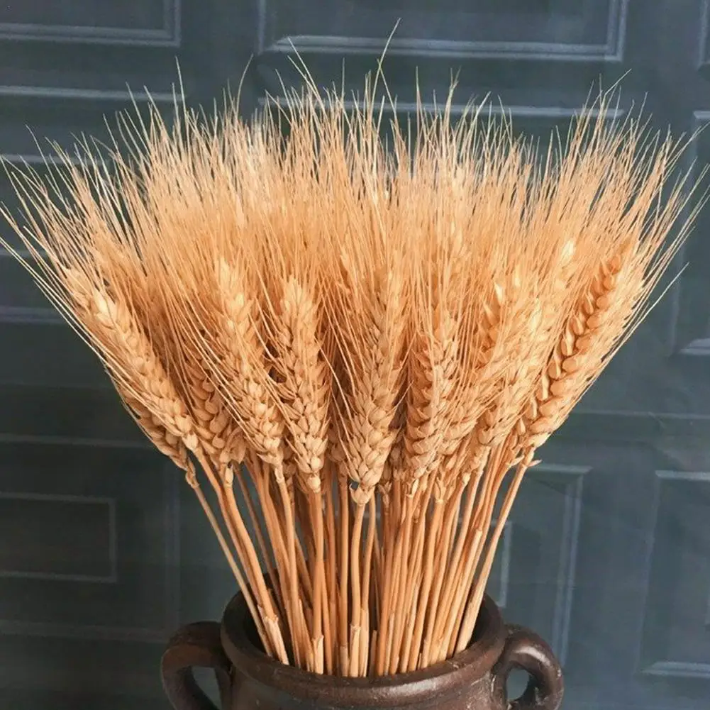 20PCS Wheat Ears Natural Dried Wheat Stalks Grass Barley Bouquet Bunch Artificial Flowers For DIY Craft Kitchen Wedding Decor