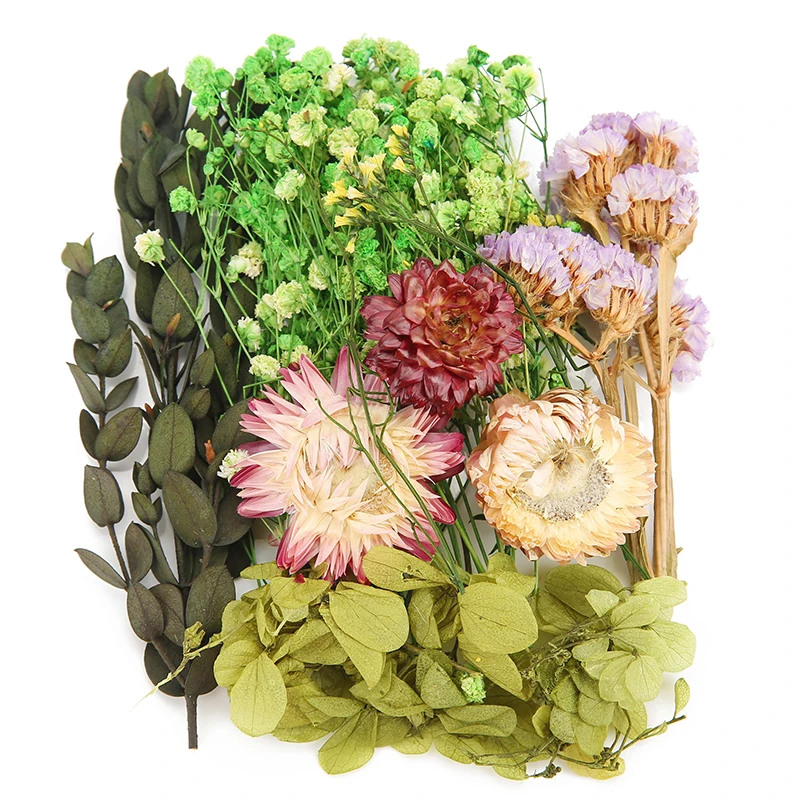 

1 пакет, настоящие сушеные цветы, принадлежности из смолы, красочные наполнители, лист для украшения скрапбукинга, ремесла, фурнитура для изготовления ювелирных изделий