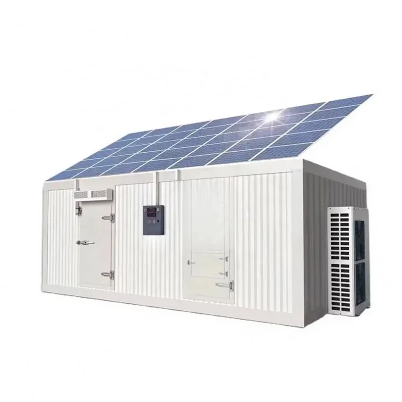 Refrigeration Unit Refrigerated Container Blast r Meat Fish Storage