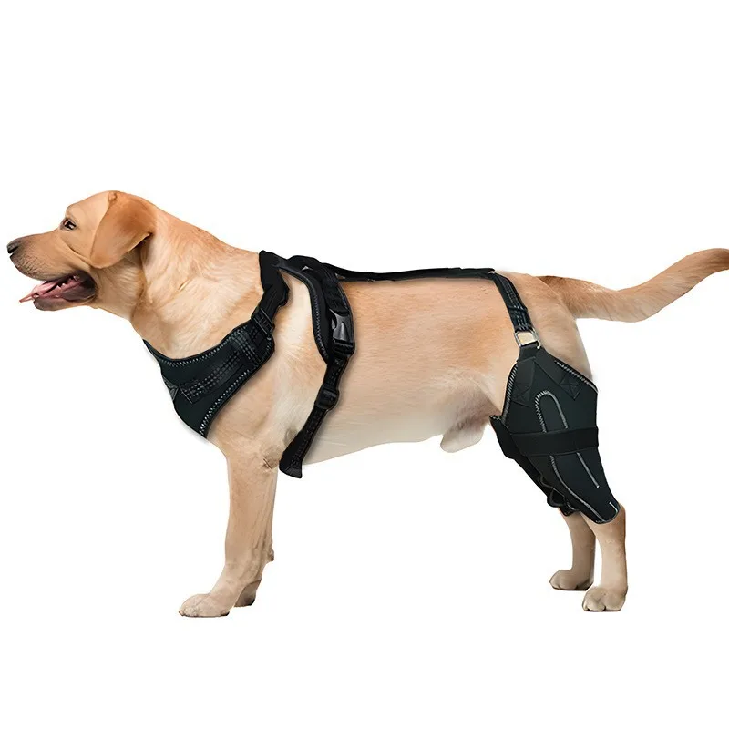 Dog harness Dog Rear Leg Brace Pet Knee Joint Support Protector Breathable Hind Leg Arthritis Injury Recovery Sleeve for Dogs