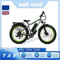 Baolujie Verkauf Elektrisches Mountainbike 26 ''* 4 Fetter Reifen 48V 750w13ah 45km/hdisplay Lcd Aluminium Legierung Erwachsene