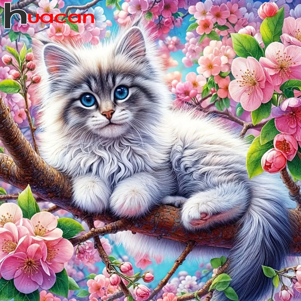 Huacan Diamond Pain…