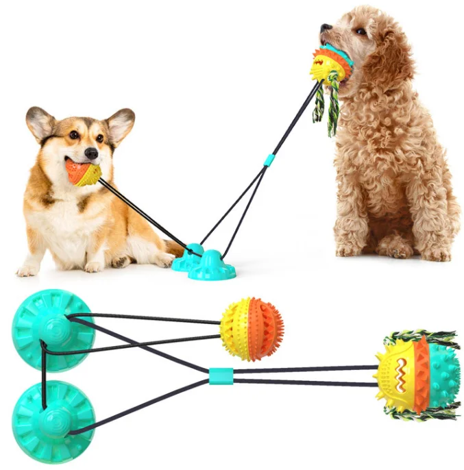 Jouets à mâcher actifs pour chiens, jouets interactifs à mâcher pour chiens, dents dures, grincement, mordre, jouets grinçants, livres de dents