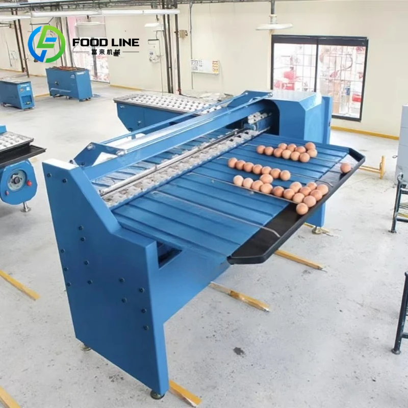

Automatic egg sorting and packaging machines