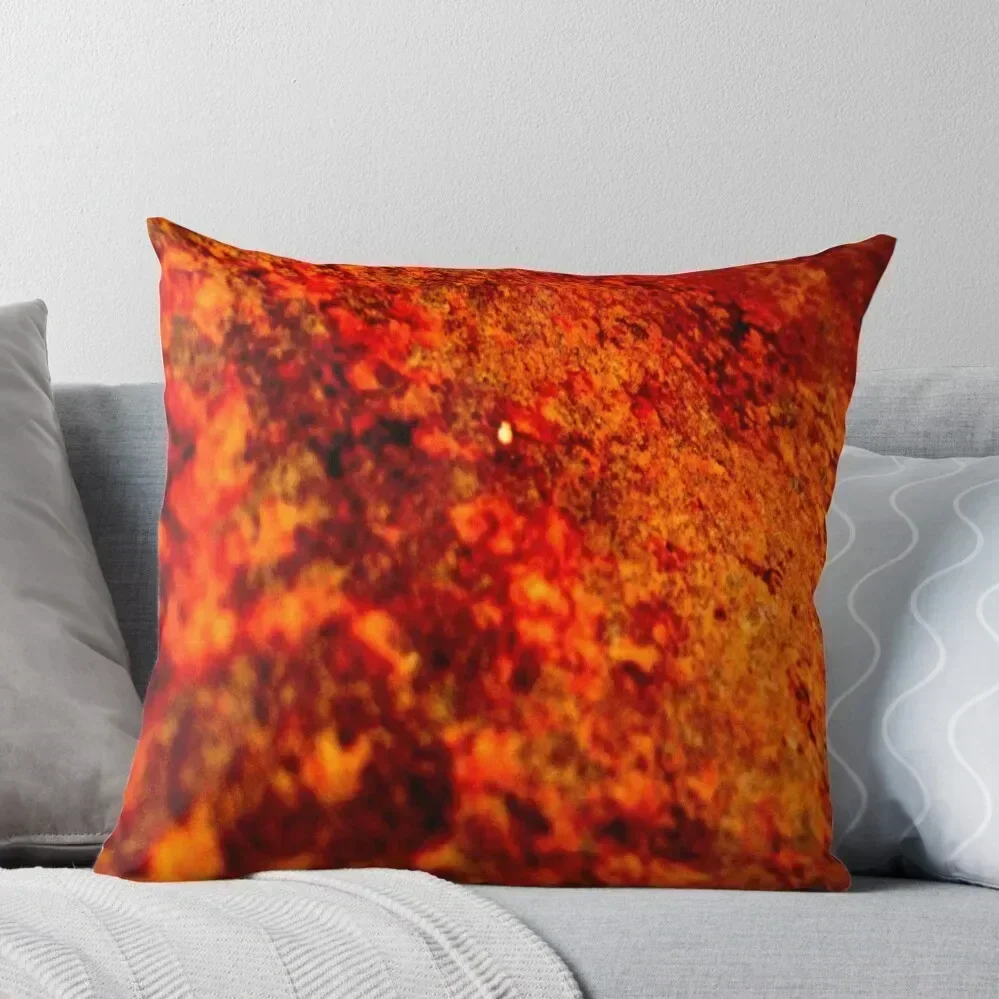 

BURNT RUST Throw Pillow Cushions Cover Christmas Covers Cusions Cover Embroidered Cushion Cover pillow