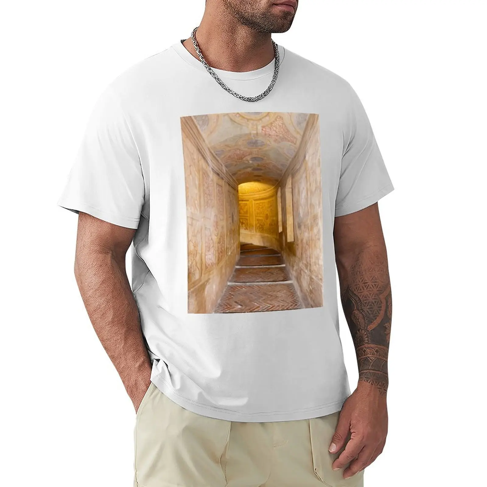 The Golden Entrance to the Palace T-Shirt summer top quick-drying Men's t shirts