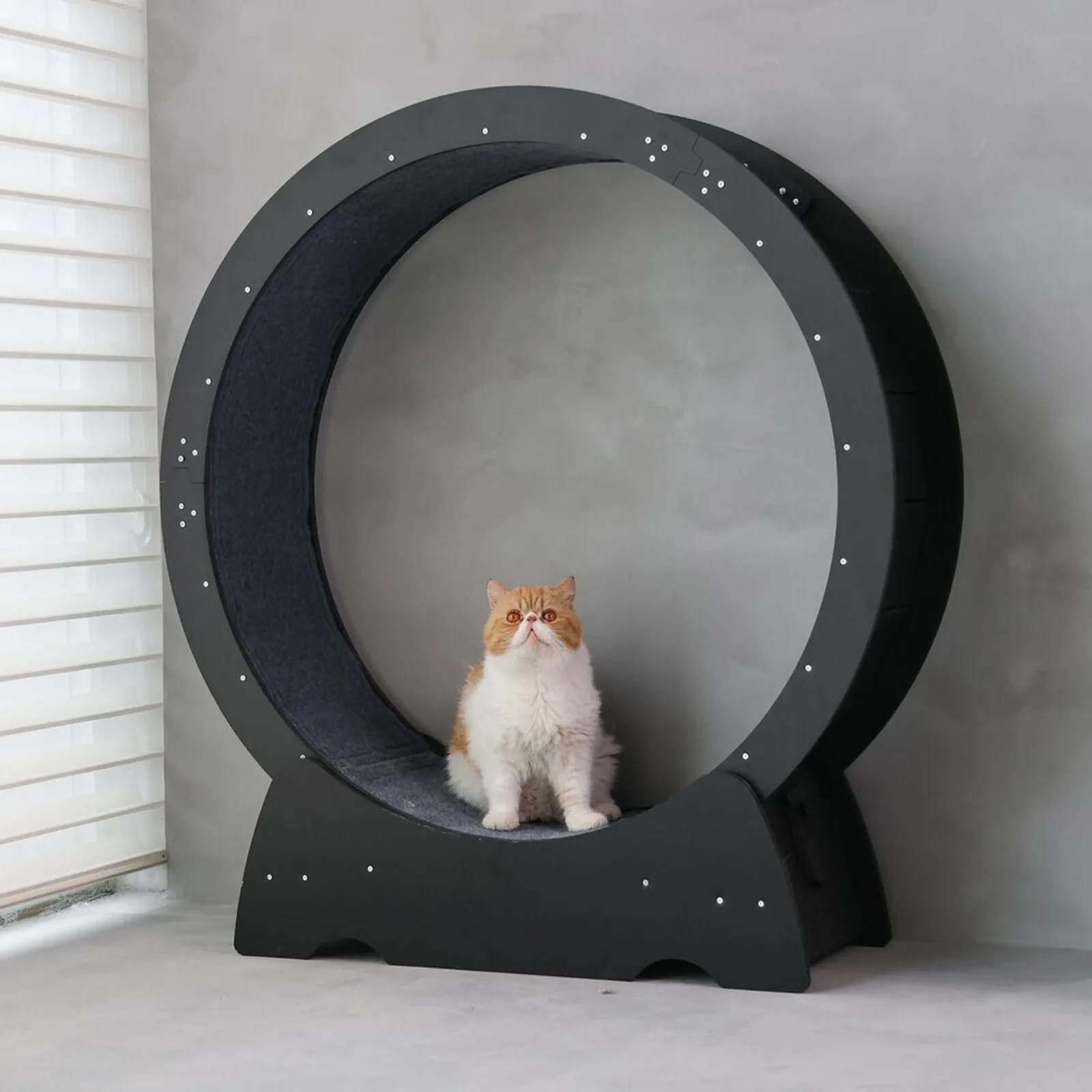 Large PVC Cat Treadmill Cat Exercise Wheel Running Wheel Cat Toy Indoor