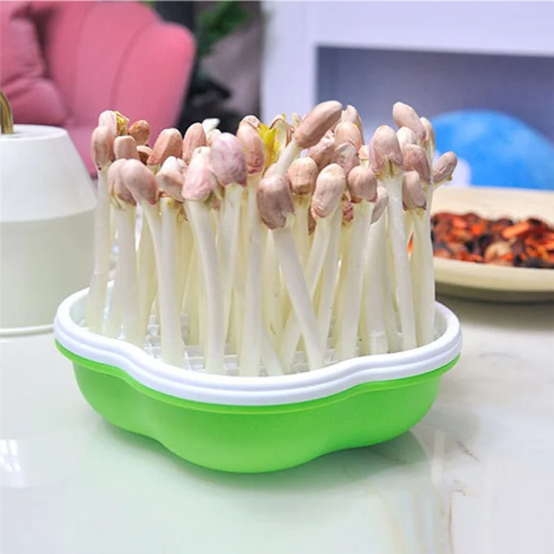 Pot de Germination de germes de haricots AF90, Pot de Germination hydroponique sans sol, Pot de plantation de semis de blé, plateau de semis de germes