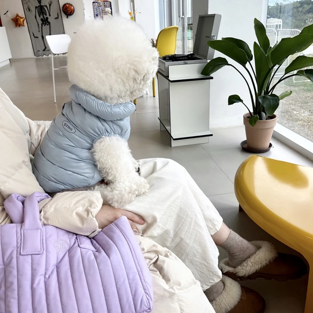 Winter Pet Cotton Clothes Warm Dog Clothes Puppy Solid Colour Down Jacket Teddy Thickened Open Button Shirt Bichon Clothes