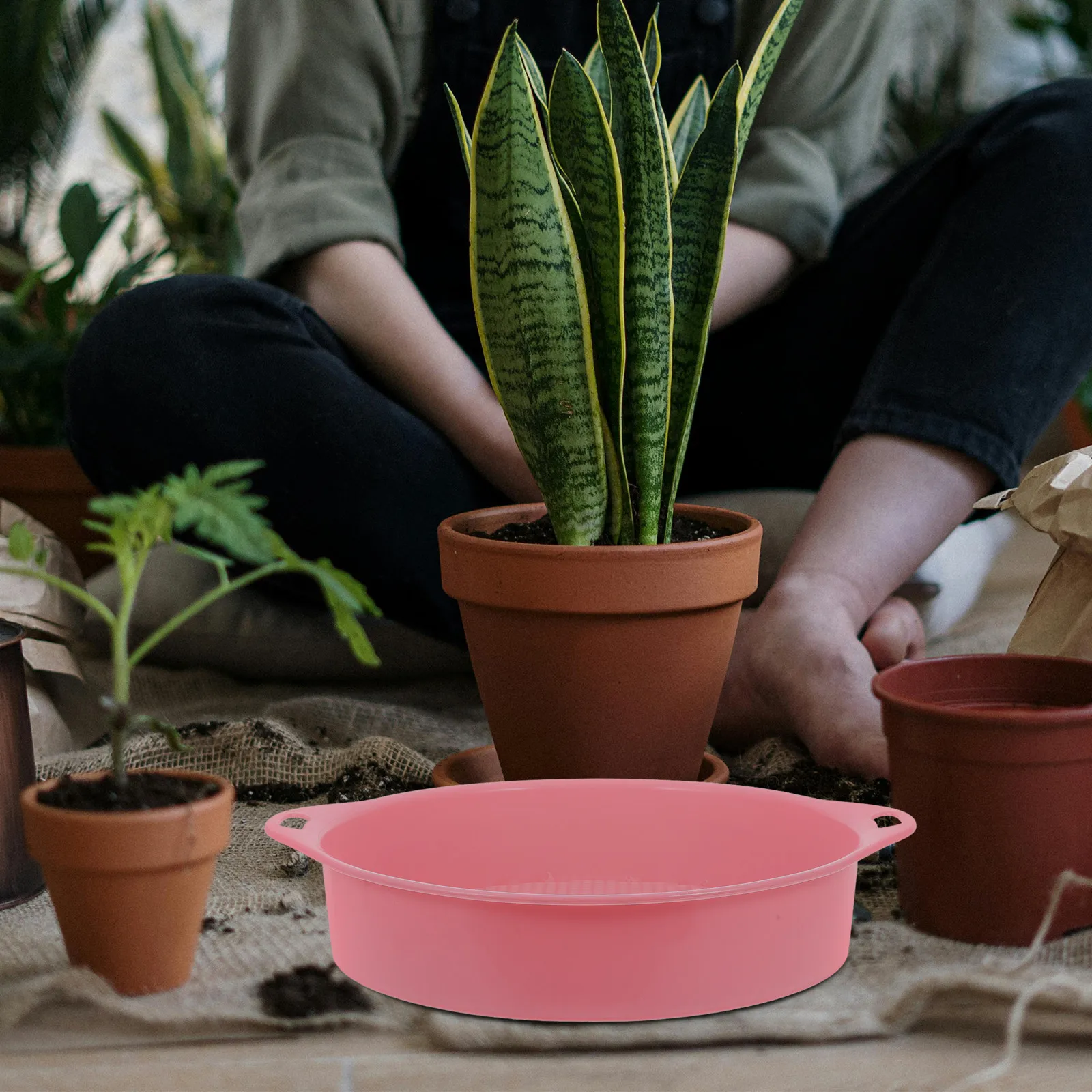 

Набор из 2 пластиковых сит для почвы, легкие сита из полипропилена для просеивания садовой почвы, песка, гравия, камней, для балкона, мини-размер