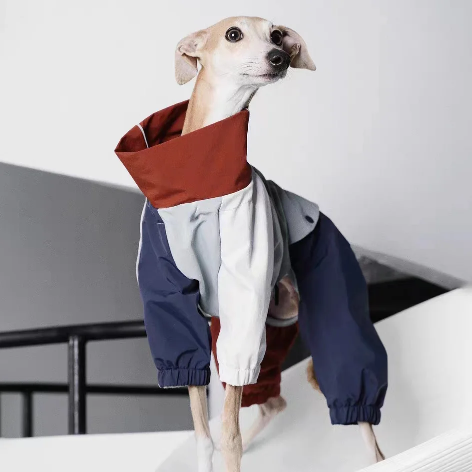 Italian Greyhound Whippet Interchange jacket Lightweight Iggy Clothing Waterproof Windproof Jacket for Small Media Large Dogs